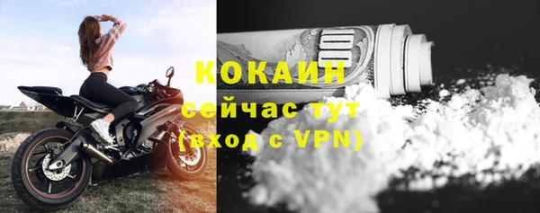 прущие грибы Беломорск