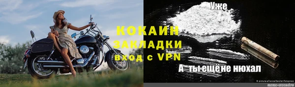 прущие грибы Беломорск