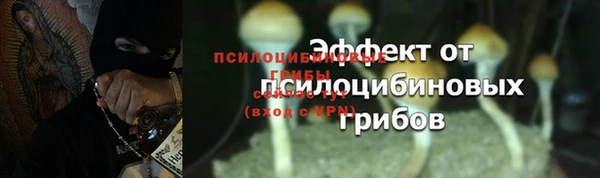 скорость Белокуриха