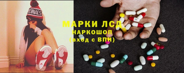 прущие грибы Беломорск