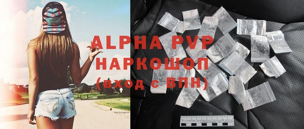 прущие грибы Беломорск