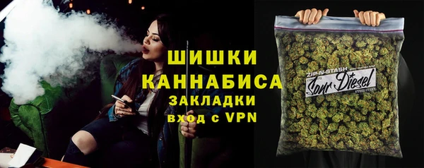 прущие грибы Беломорск